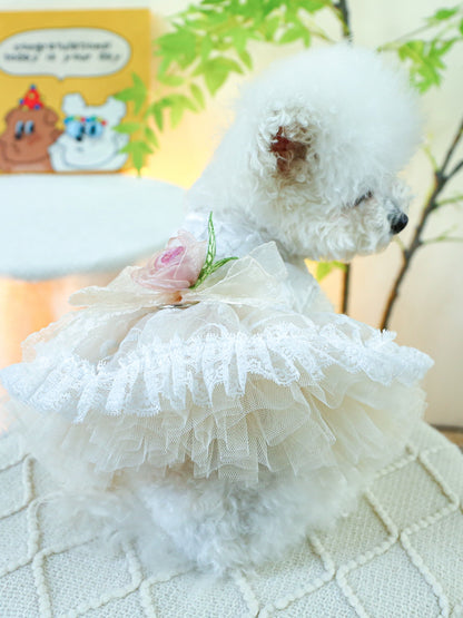 Ruffled Lace Pet Dress – Embroidered Bow-Detail Dress for Dogs & Cats – view 8