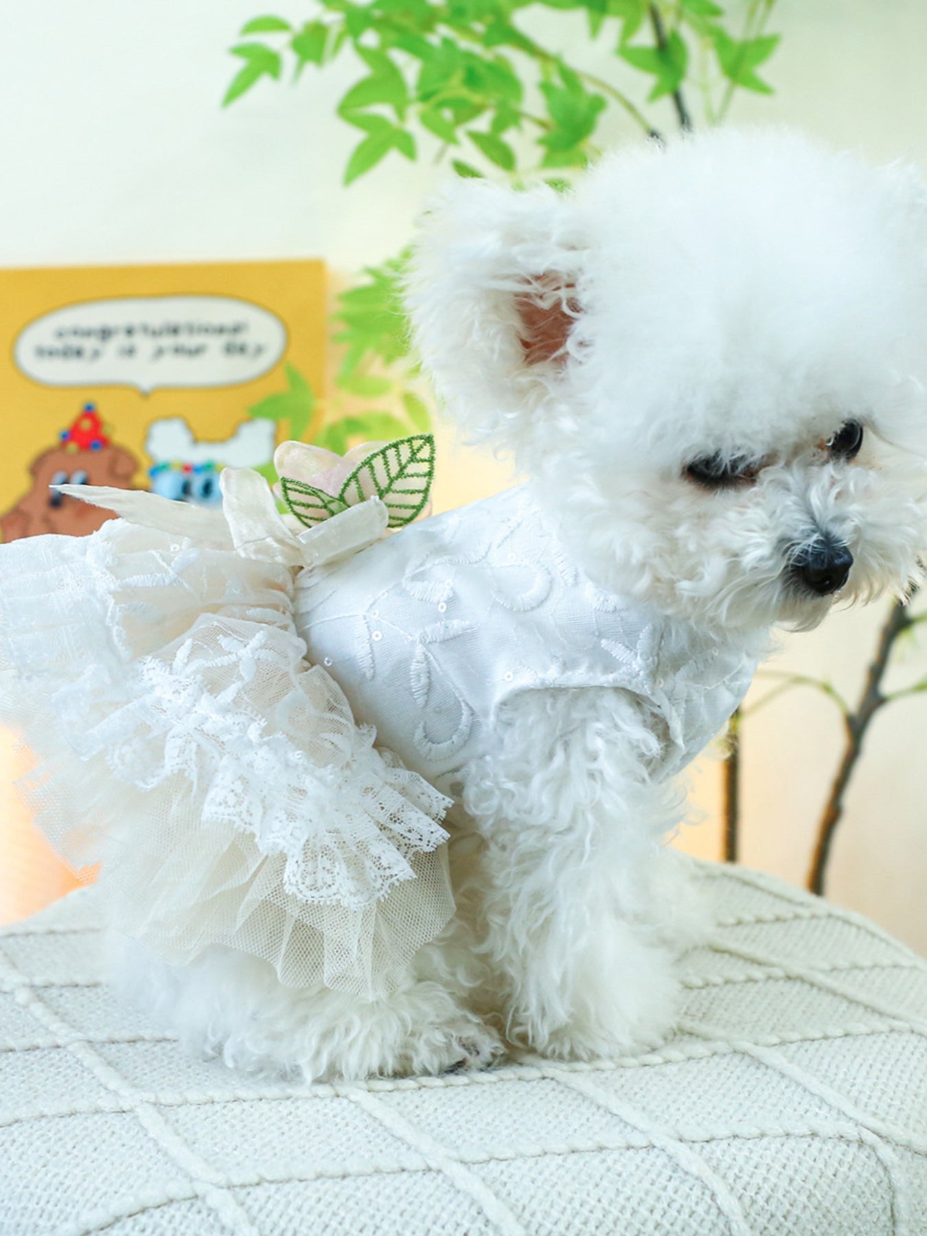 Ruffled Lace Pet Dress – Embroidered Bow-Detail Dress for Dogs & Cats – view 9