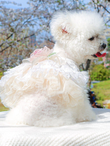 Ruffled lace pet dress with embroidered bow detail for dogs and cats