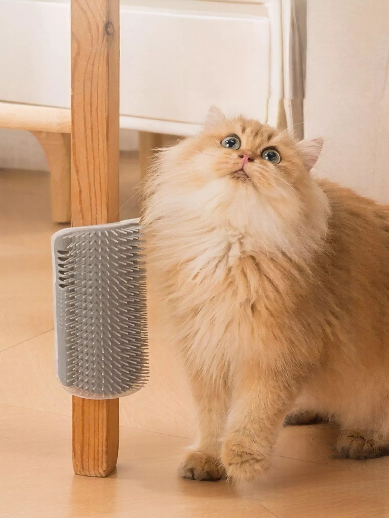 Self-Grooming Wall Corner Cat Brush and Hair Remover – view 2