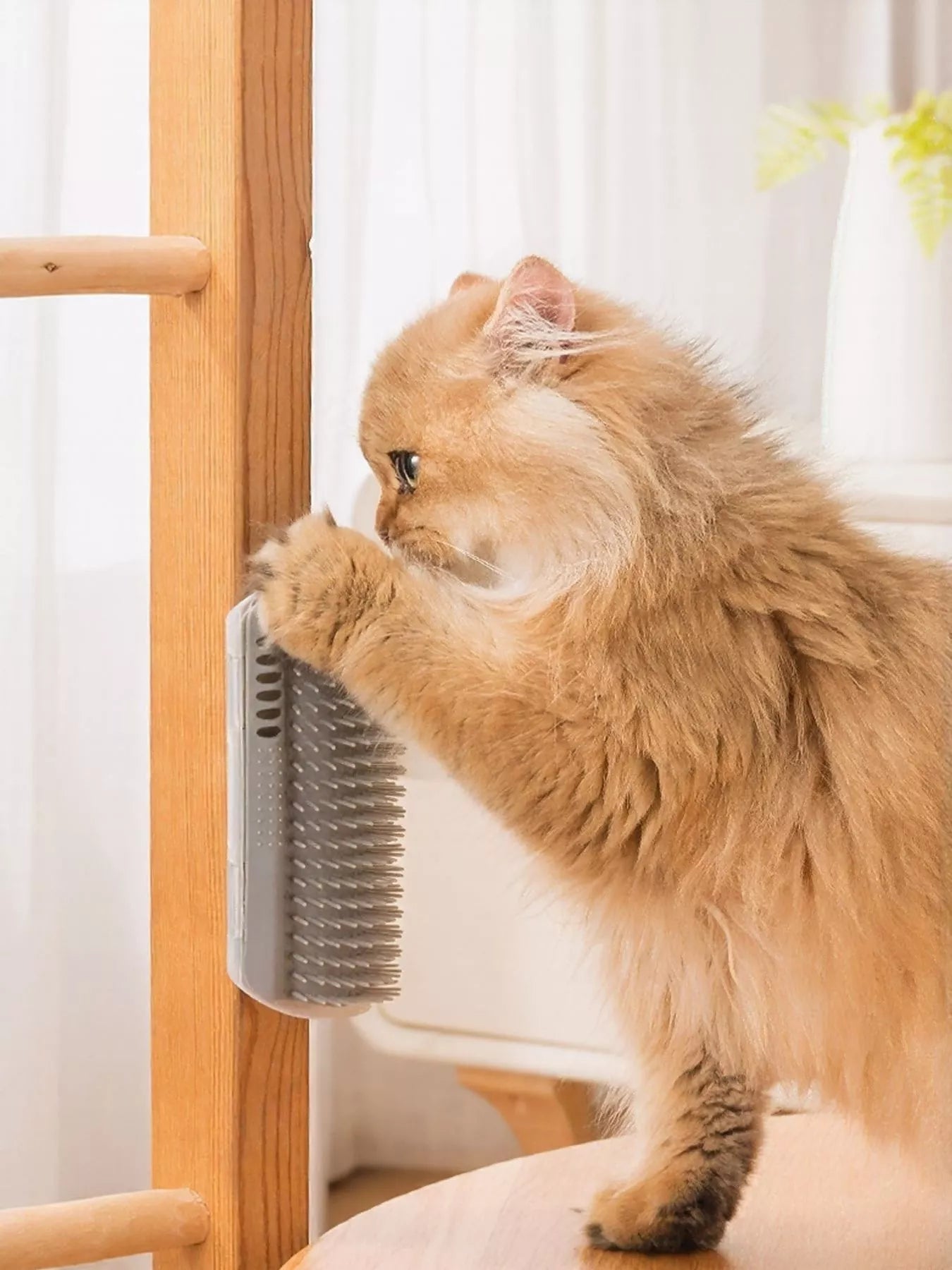 Self-Grooming Wall Corner Cat Brush and Hair Remover – view 3