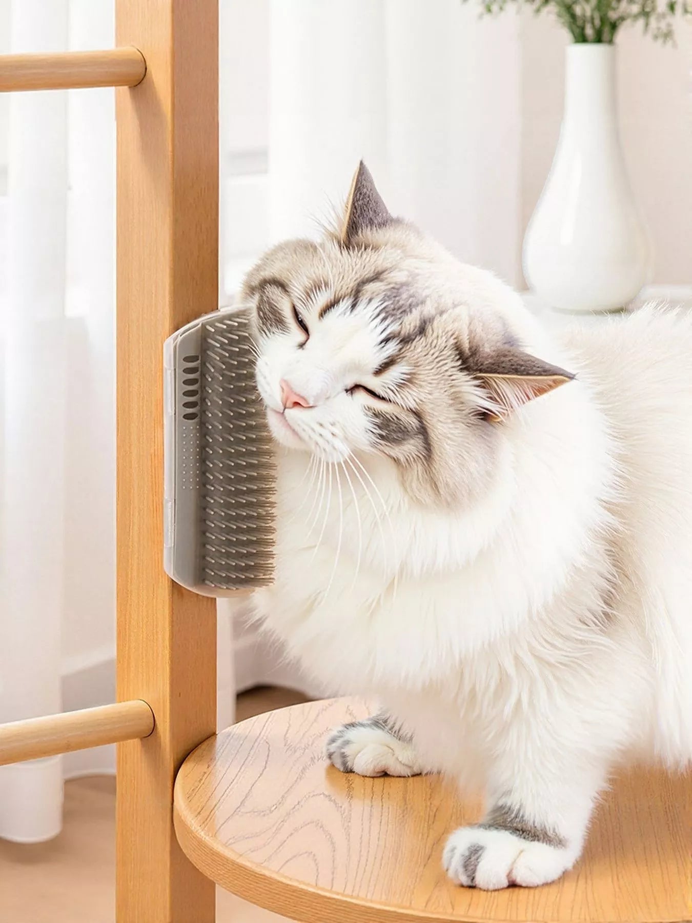 Self-grooming wall corner cat brush and hair remover for cats