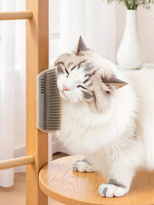 Self-grooming wall corner cat brush and hair remover for cats