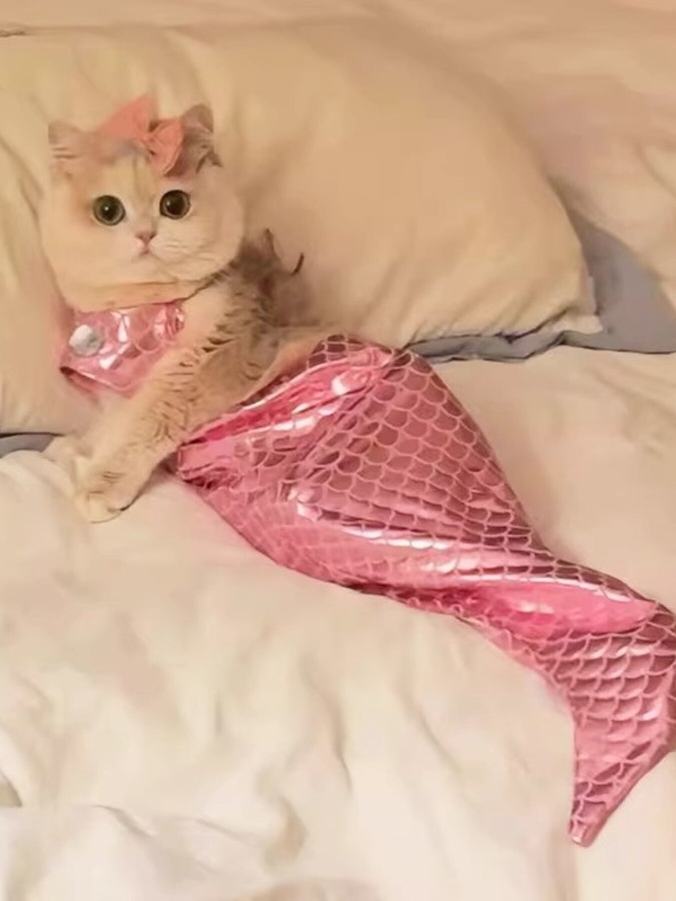 Shiny Mermaid Pet Costume Dress – 2-Piece Bow Dress Set for Dogs & Cats – view 4