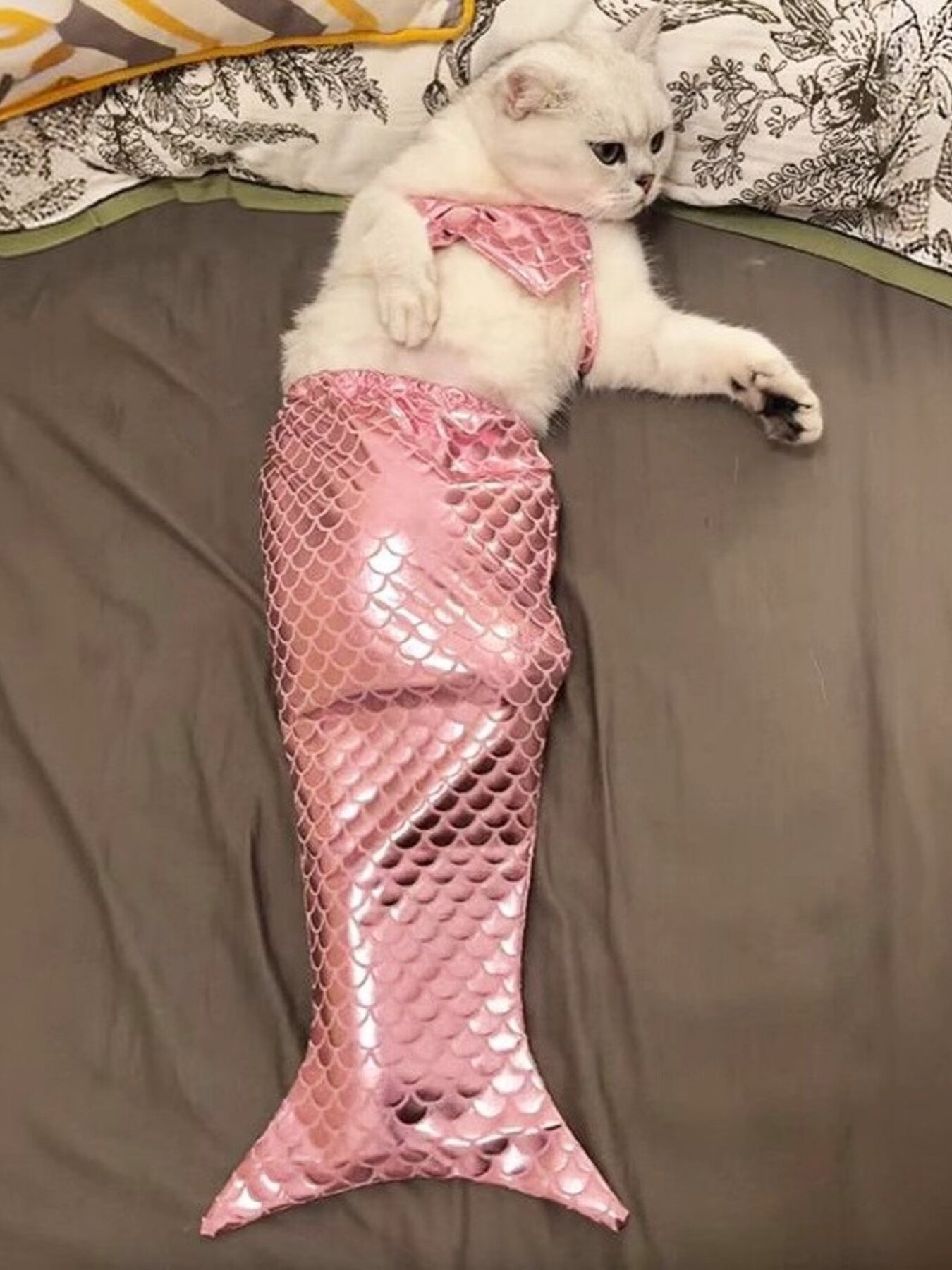 Shiny Mermaid Pet Costume Dress – 2-Piece Bow Dress Set for Dogs & Cats – view 6