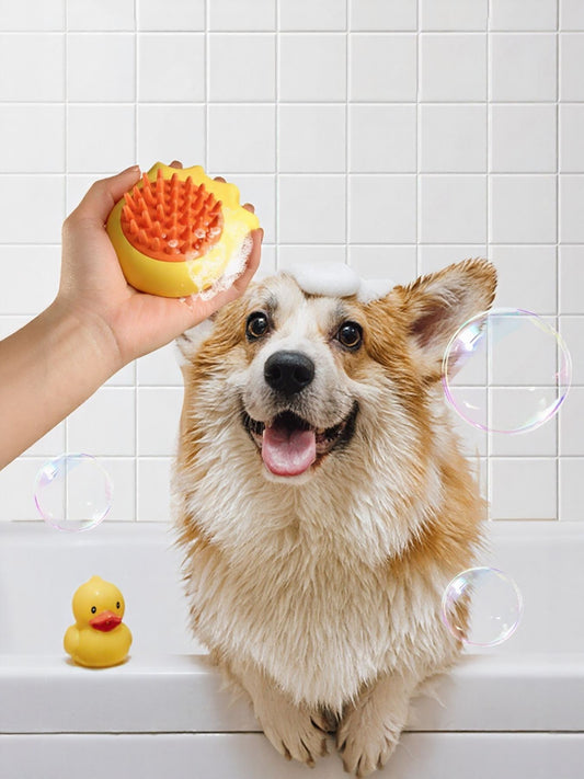 Soft ABS pet shower brush with silicone bristles, bath and massage brush for dogs and cats