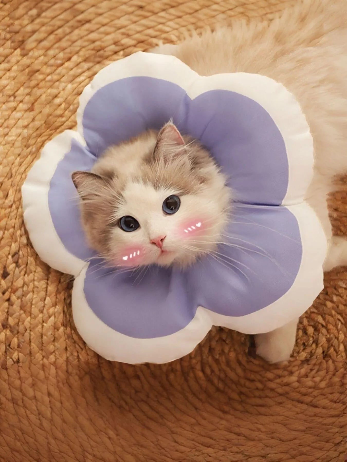 Soft Flower-Shaped Pet Recovery Collar – Comfortable Cone Alternative for Dogs & Cats – view 4