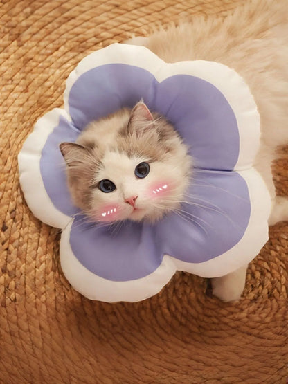 Soft Flower-Shaped Pet Recovery Collar – Comfortable Cone Alternative for Dogs & Cats – view 4