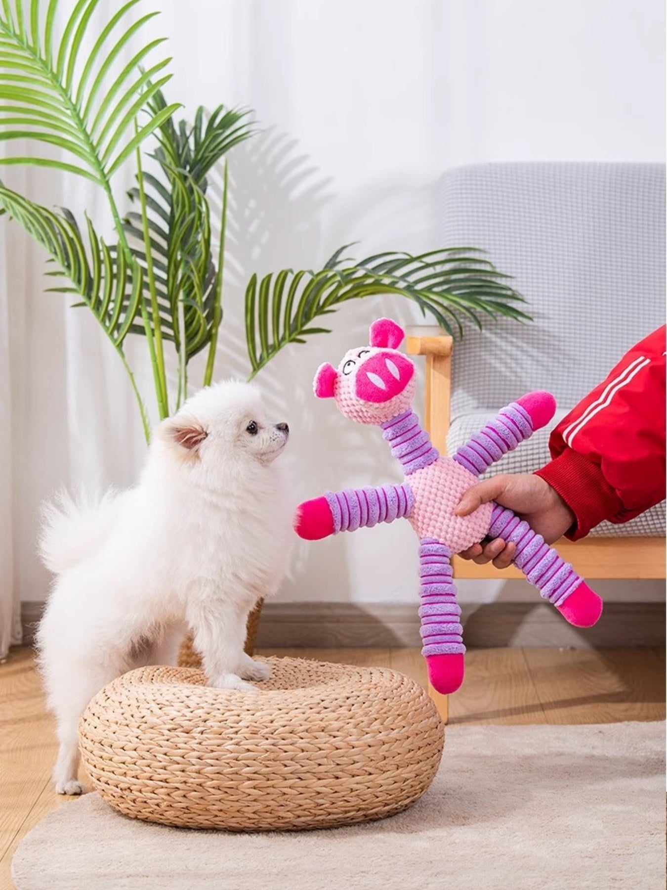 Soft Plush Animal Squeaky Pet Toy – view 4