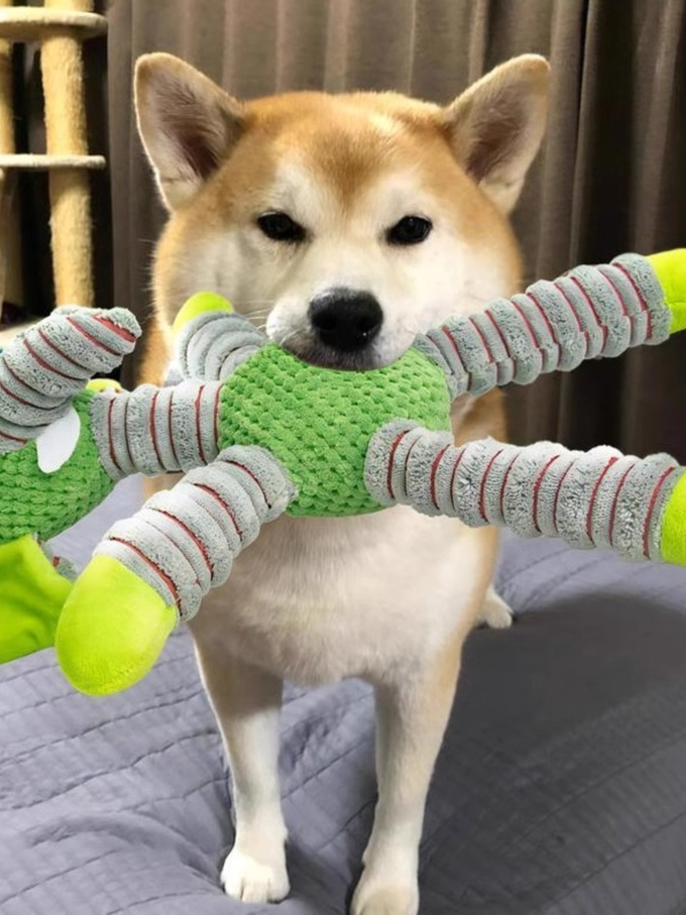 Soft Plush Animal Squeaky Pet Toy – view 7