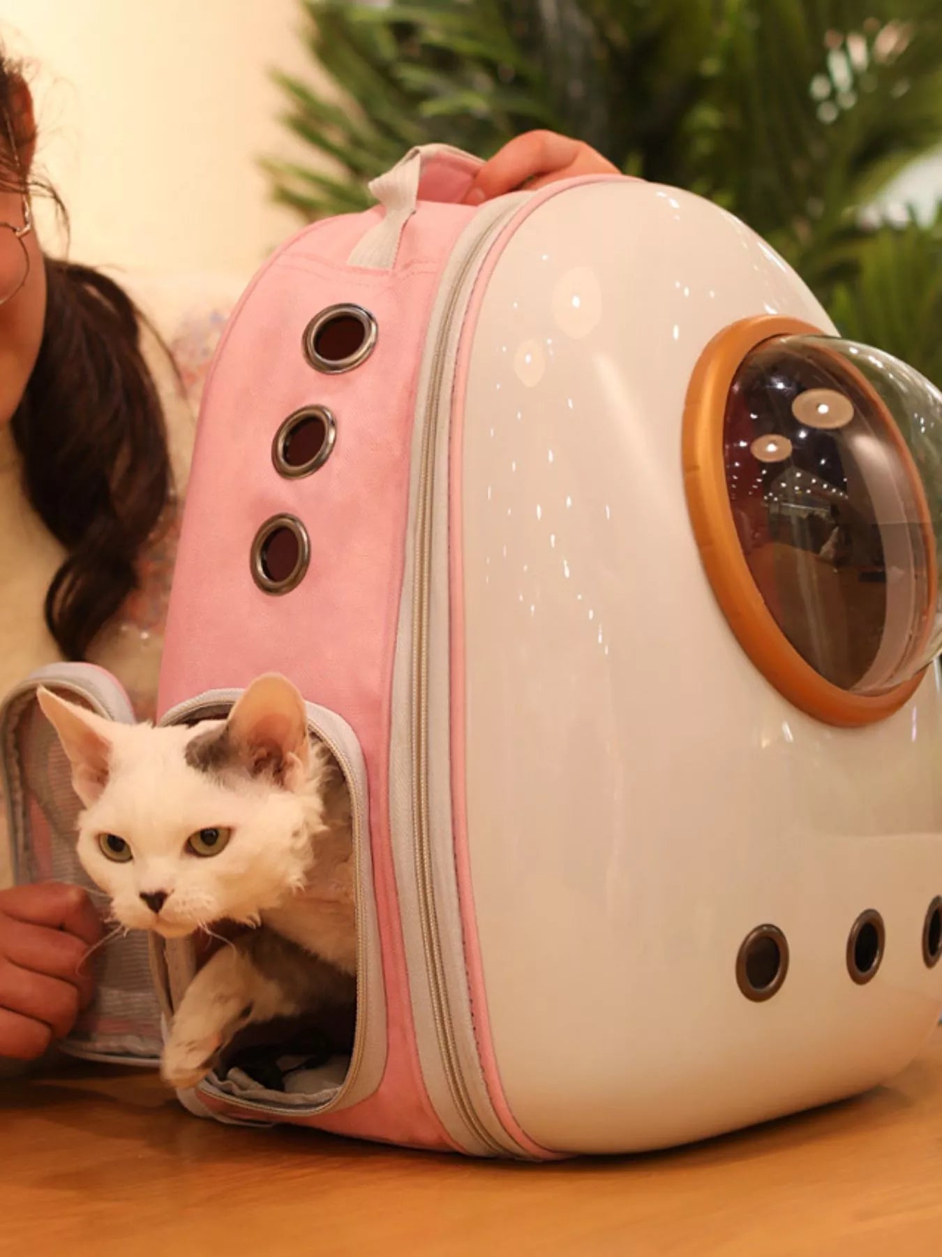 Space Capsule Transparent Pet Carrier Backpack – Large Bubble Window Backpack for Cats & Dogs – view 2