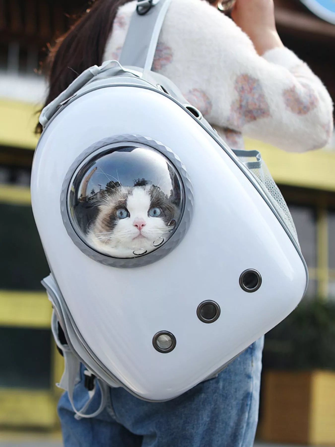 Space Capsule Transparent Pet Carrier Backpack – Large Bubble Window Backpack for Cats & Dogs – view 4