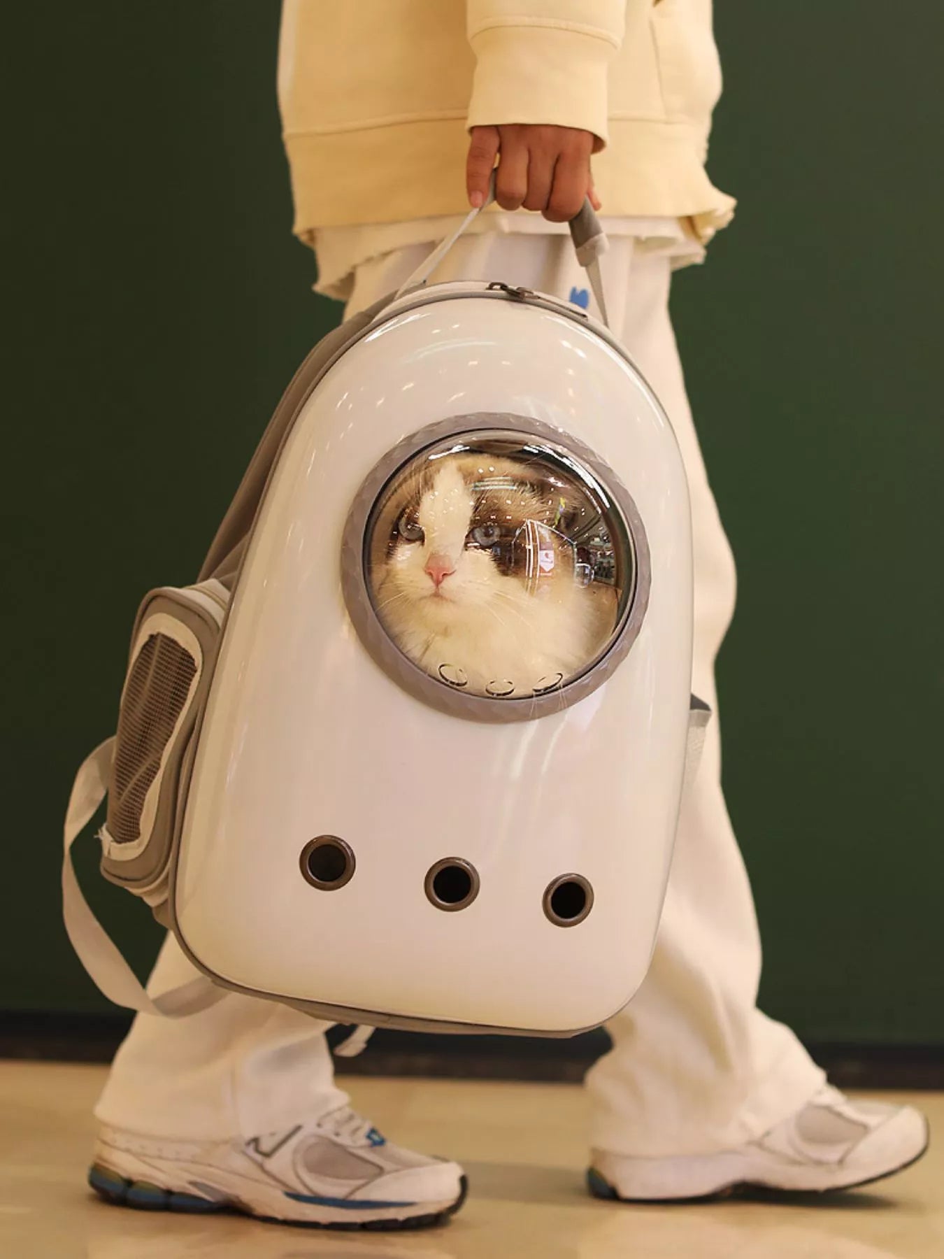 Space Capsule Transparent Pet Carrier Backpack – Large Bubble Window Backpack for Cats & Dogs – view 5