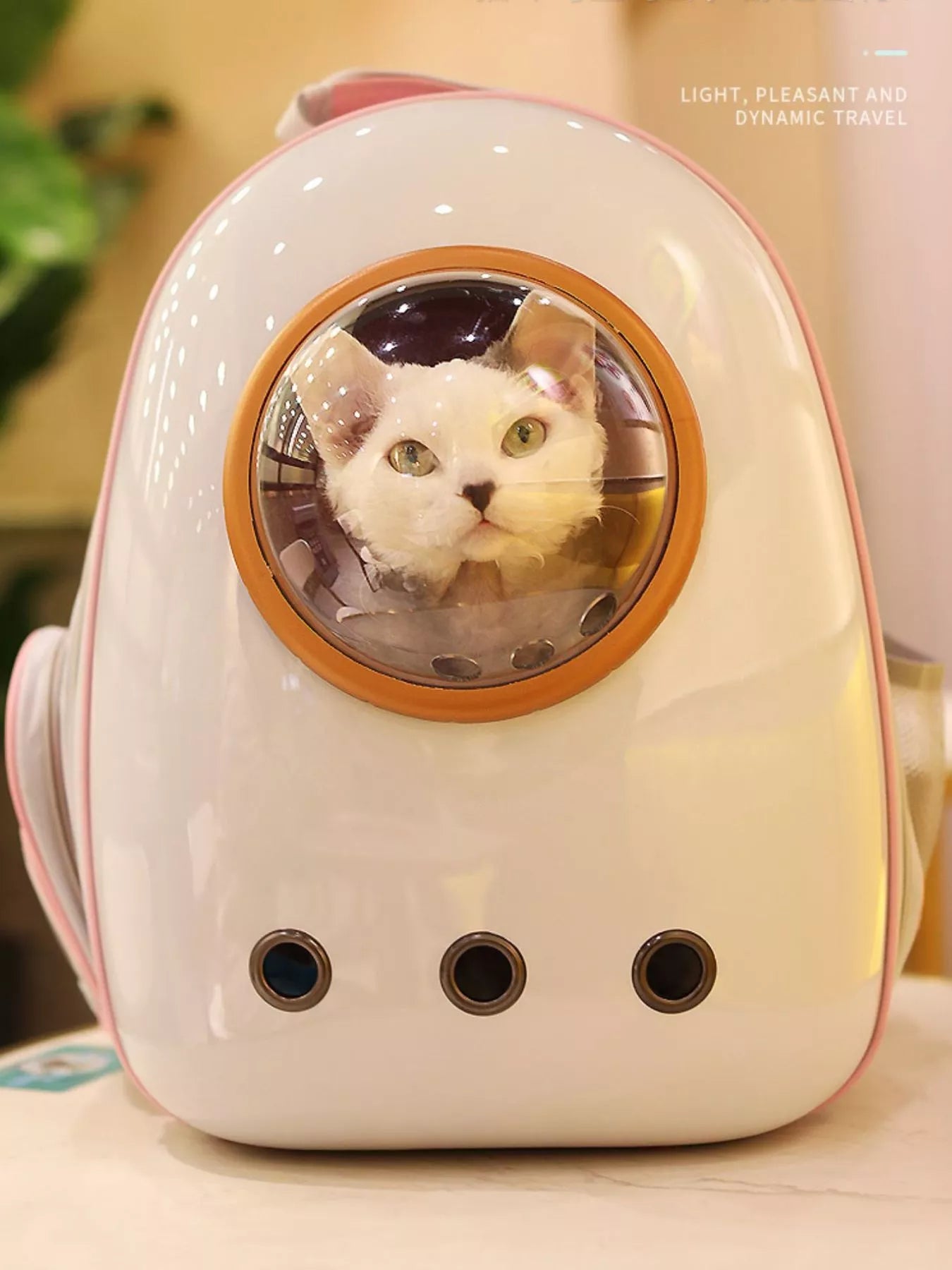 Space capsule transparent bubble window pet carrier backpack for cats and dogs