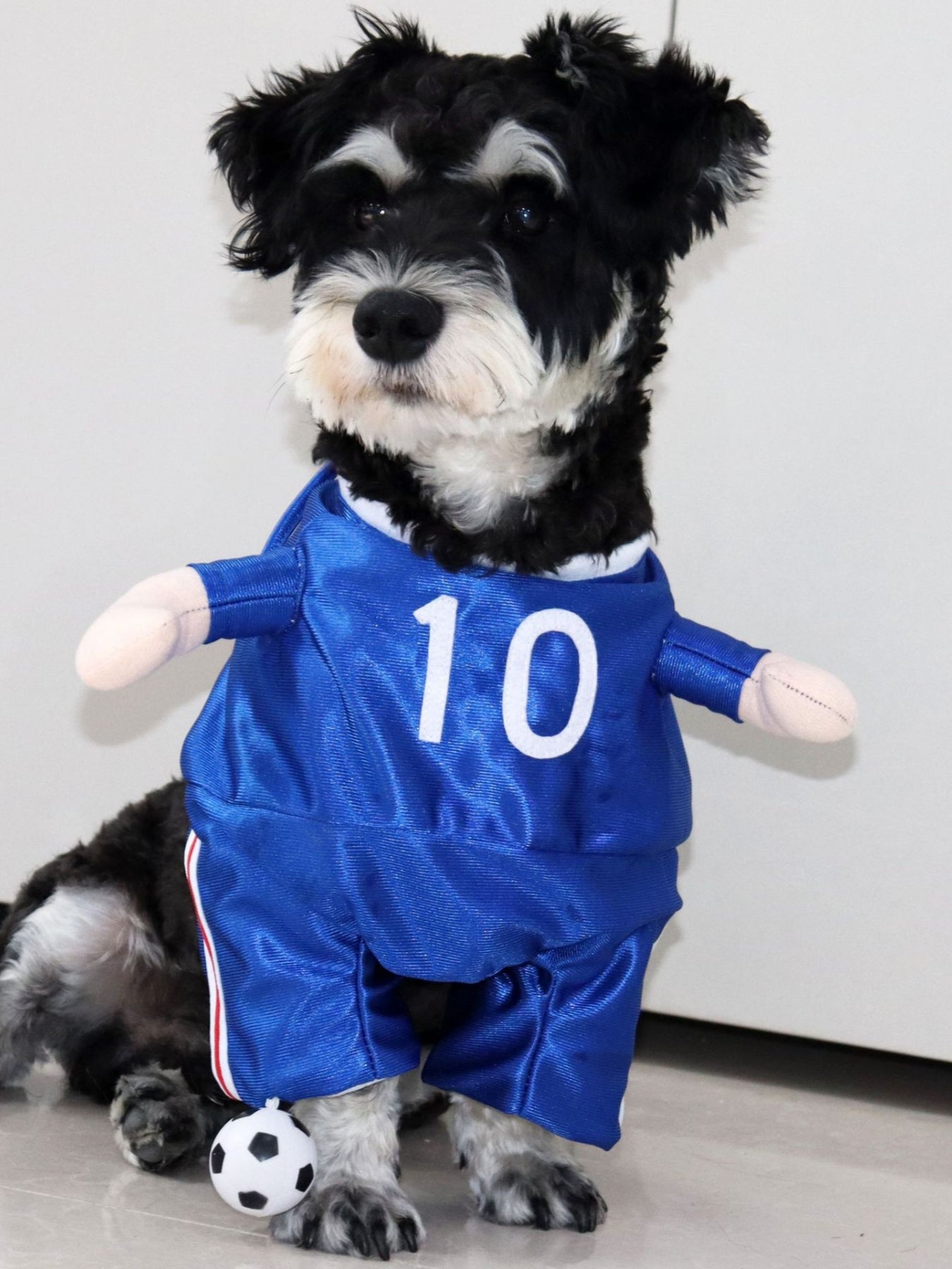 Sporty Number Print Pet Jumpsuit – One-Piece Dog & Cat Outfit – view 2