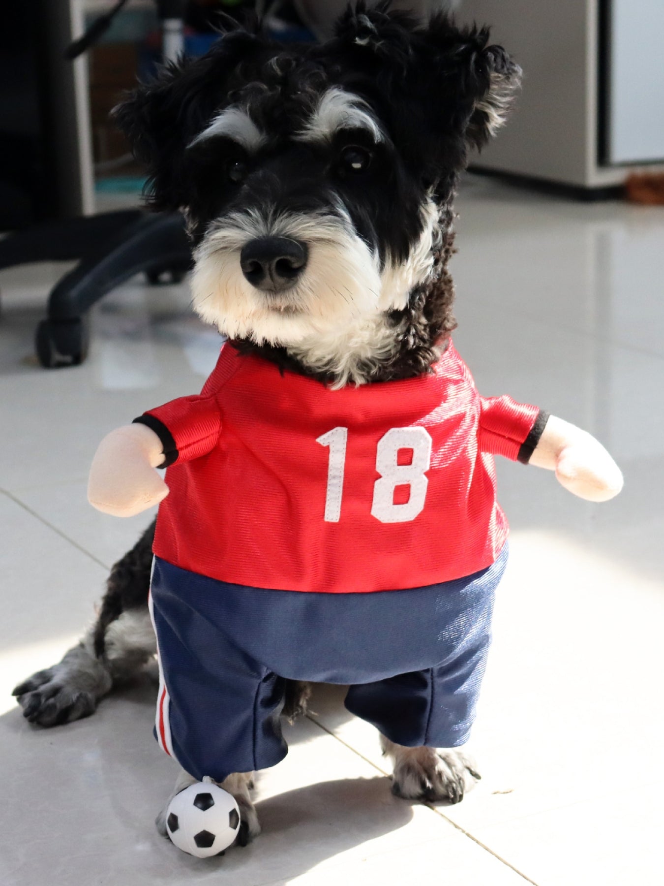 Sporty Number Print Pet Jumpsuit – One-Piece Dog & Cat Outfit – view 7