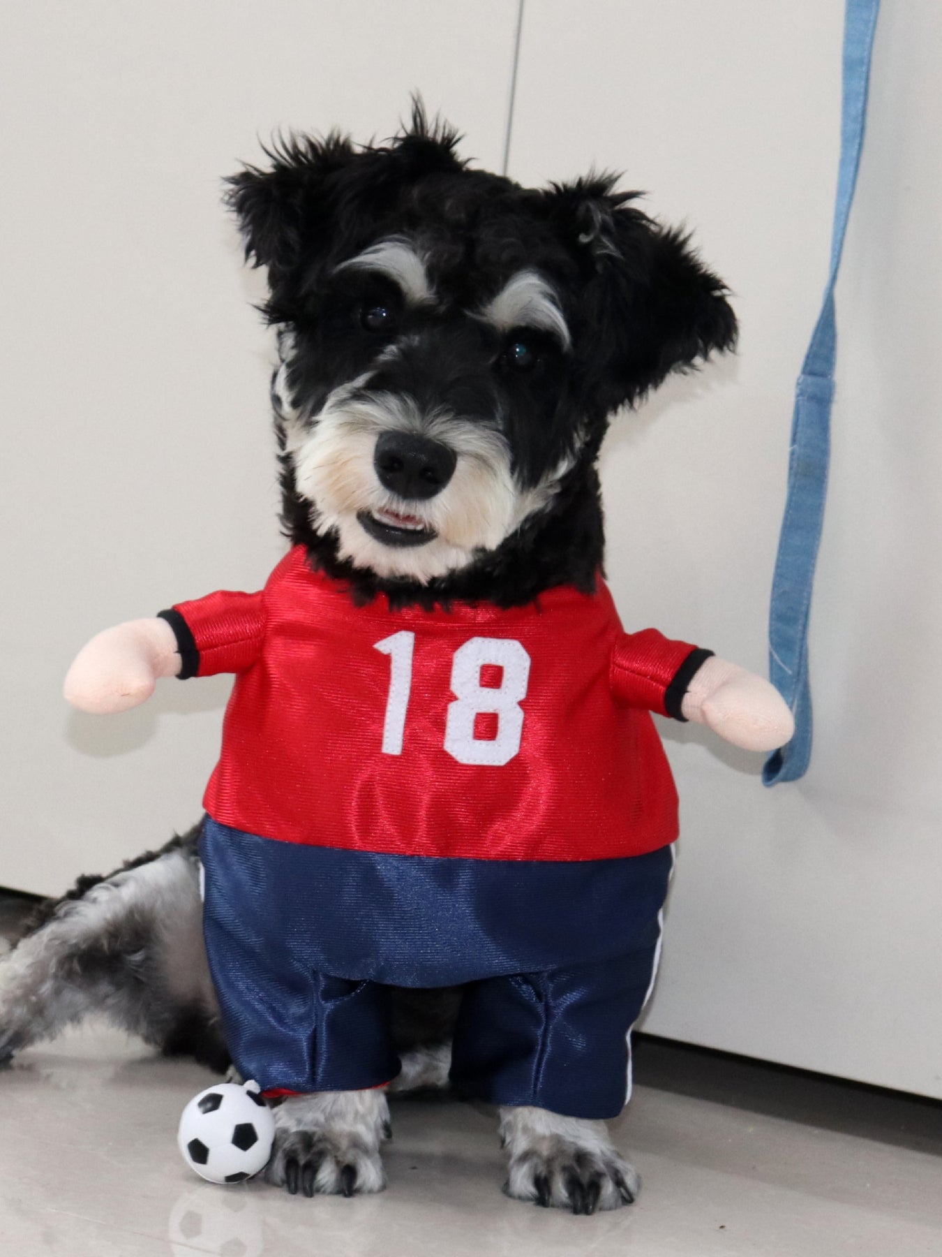 Sporty Number Print Pet Jumpsuit – One-Piece Dog & Cat Outfit – view 8