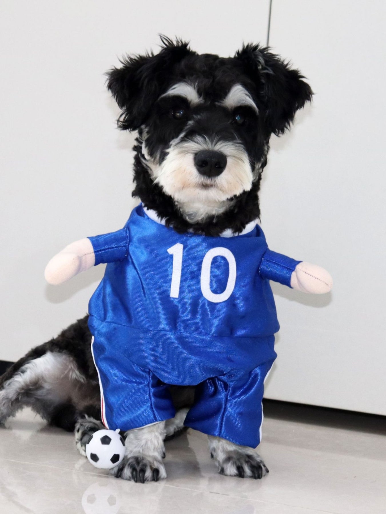 Sporty number print pet jumpsuit, one-piece outfit for dogs and cats