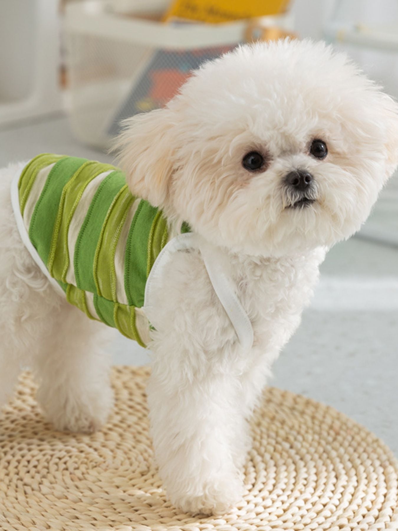 Striped Breathable Pet Top – Classic Everyday Shirt for Dogs & Cats – view 4