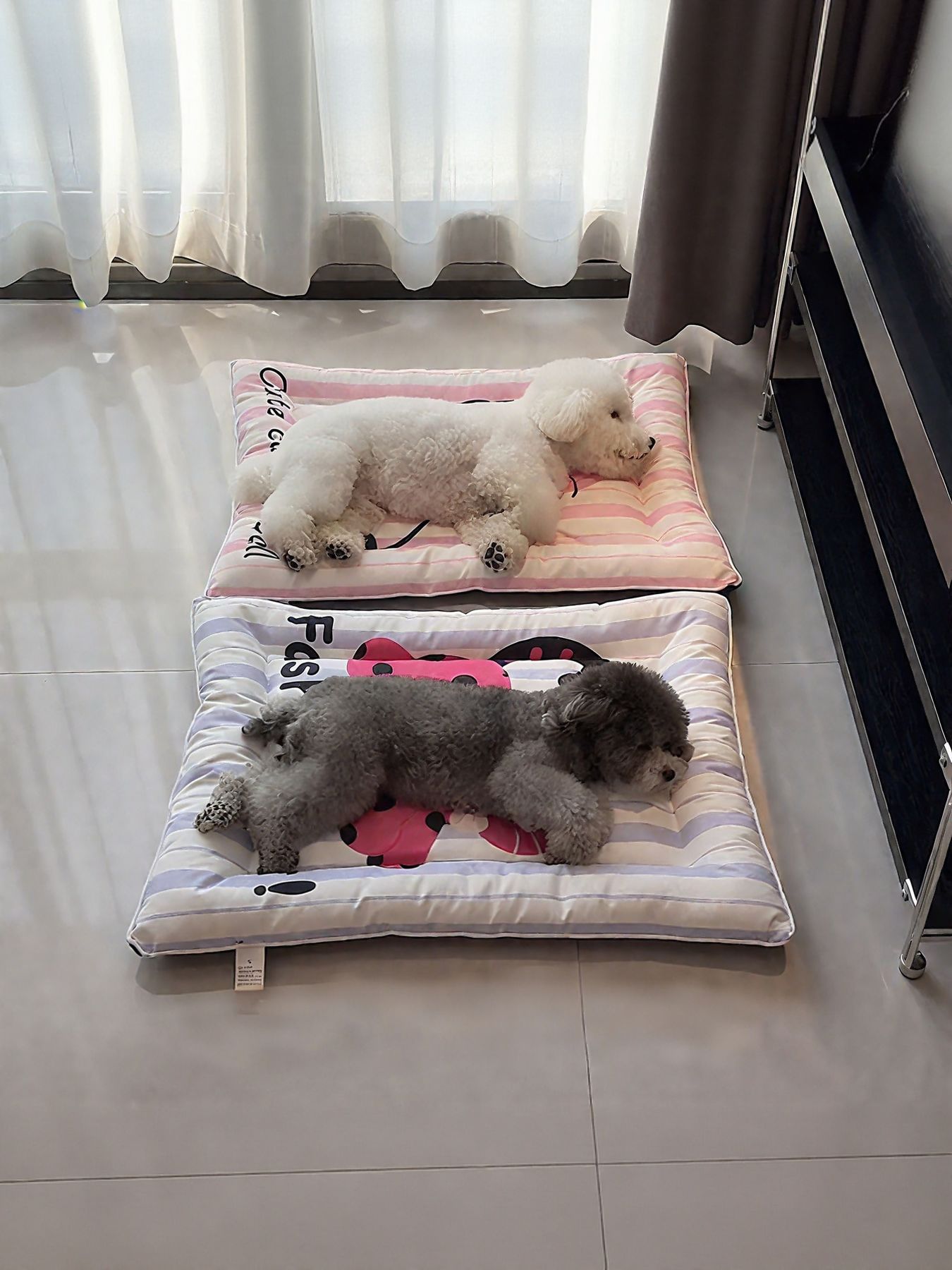 Striped Lightweight Polyester Pet Mat & Bed – Flat Cushion Bed for Cats & Dogs, L & XL – view 2