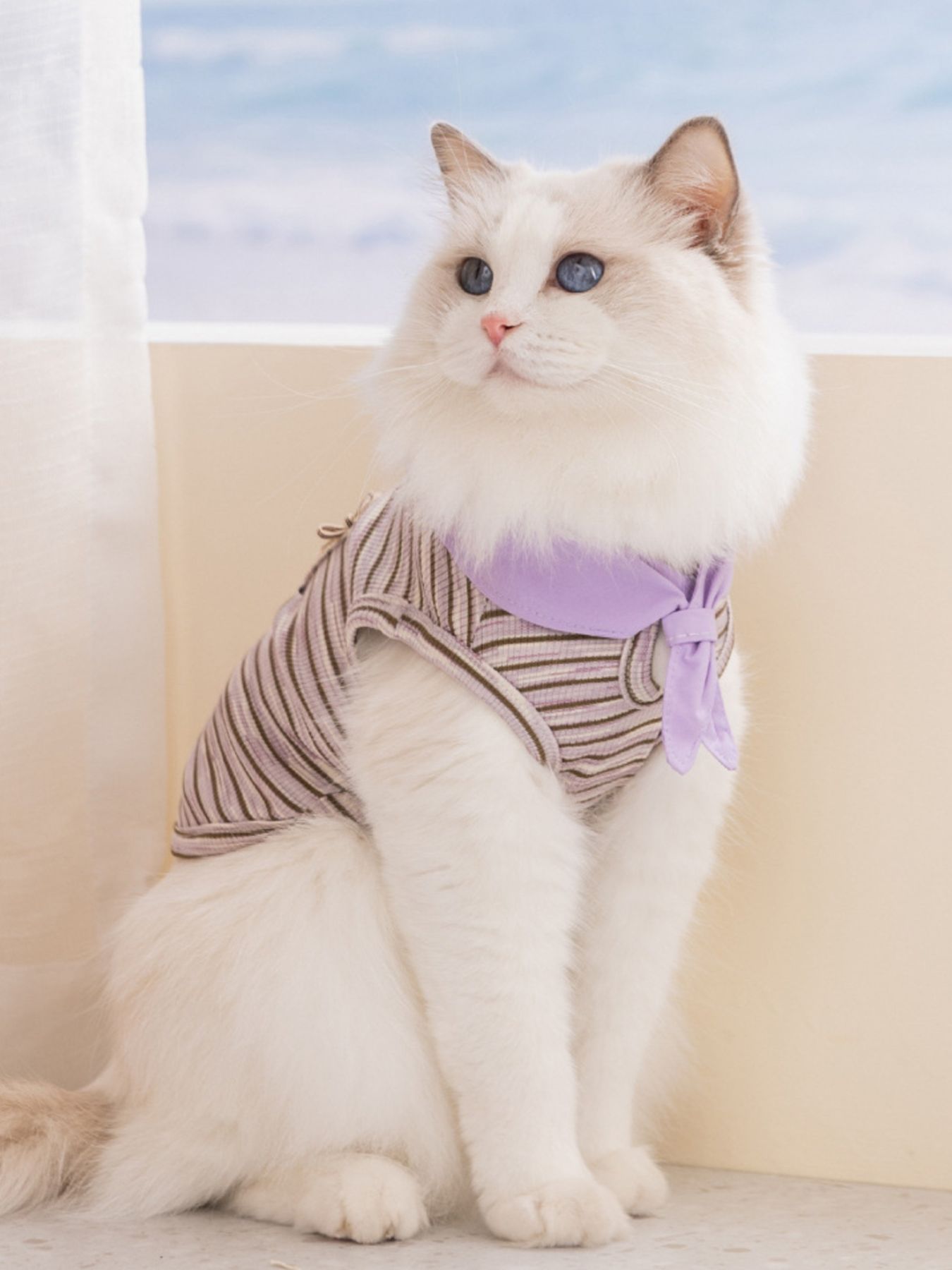 Striped Tied Pet Top – Stretch Casual Shirt for Small Dogs & Cats – view 2