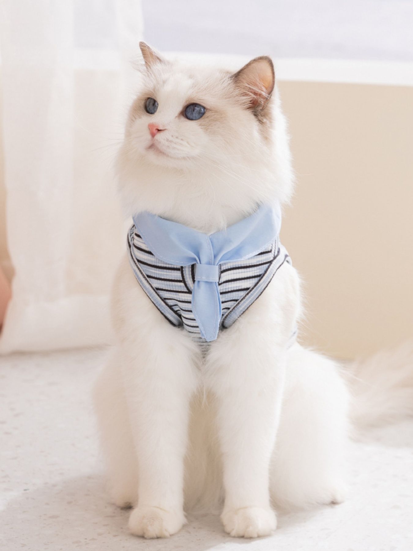 Striped Tied Pet Top – Stretch Casual Shirt for Small Dogs & Cats – view 6