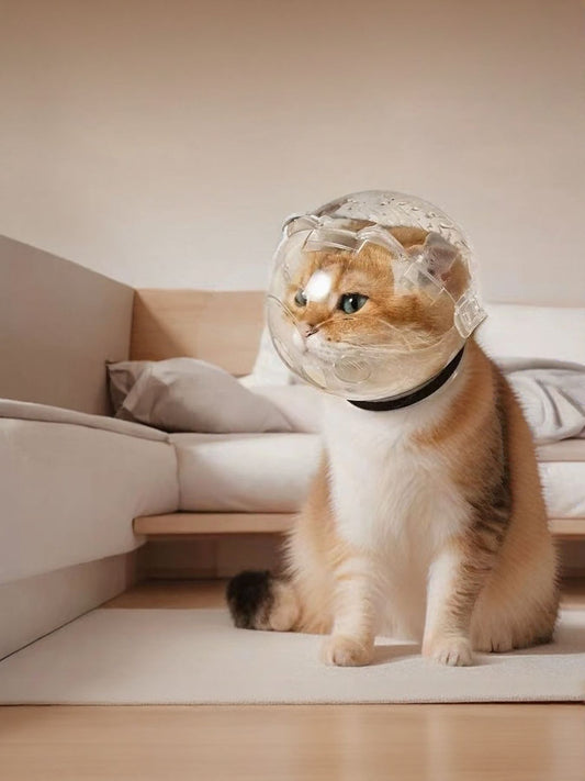Transparent plastic pet recovery cone e-collar, lightweight anti-bite design for dogs and cats