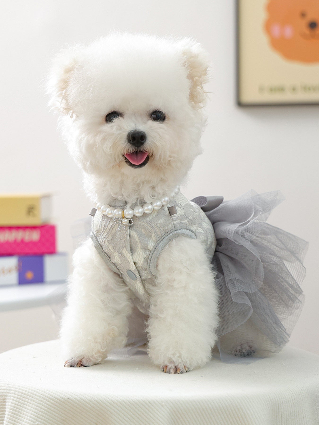 Tulle Lace Bow Pet Dress – Elegant Party Dress for Dogs & Cats – view 2