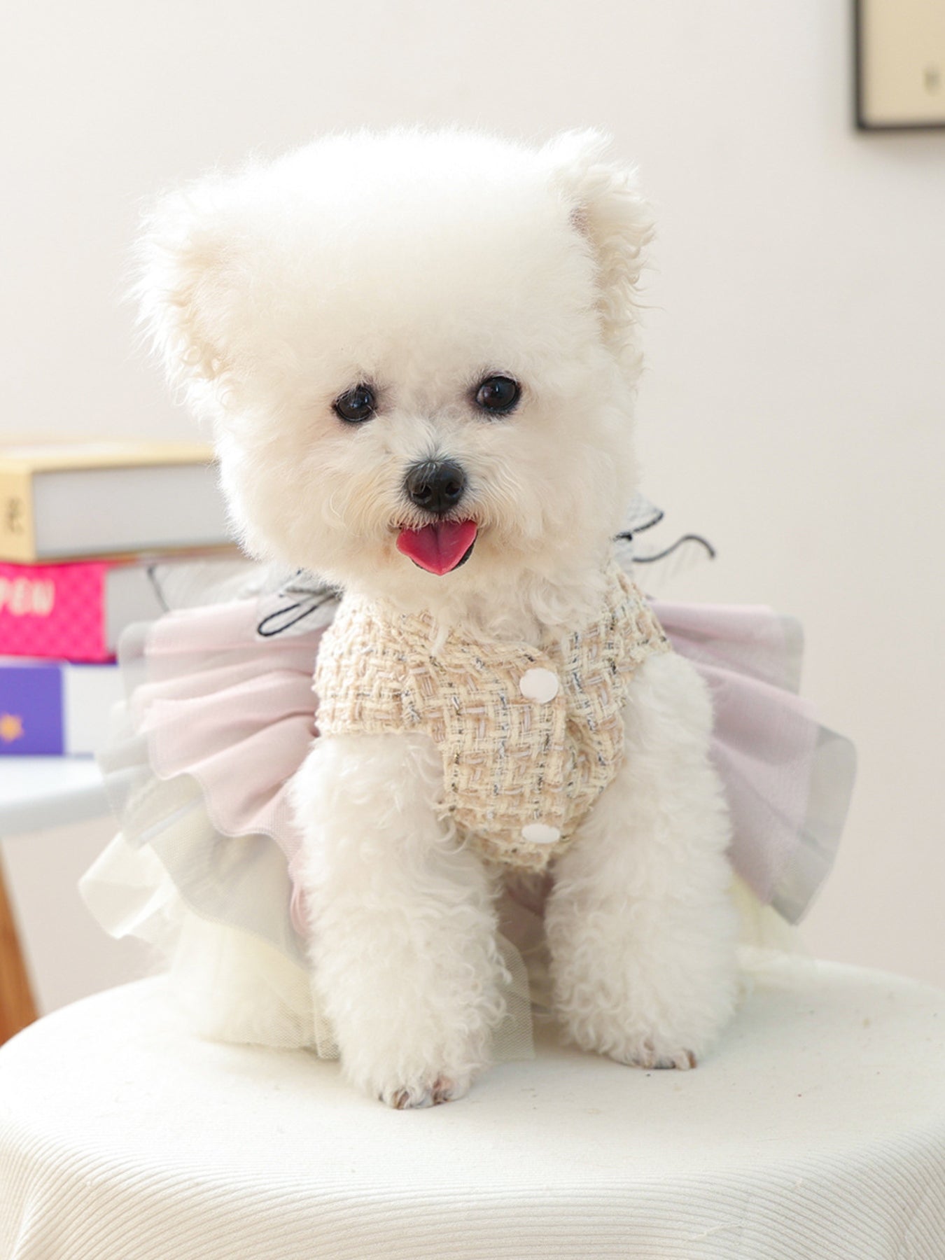 Tweed Pet Dress with Ruffle – Tiered Bow-Detail Dress for Dogs & Cats – view 12