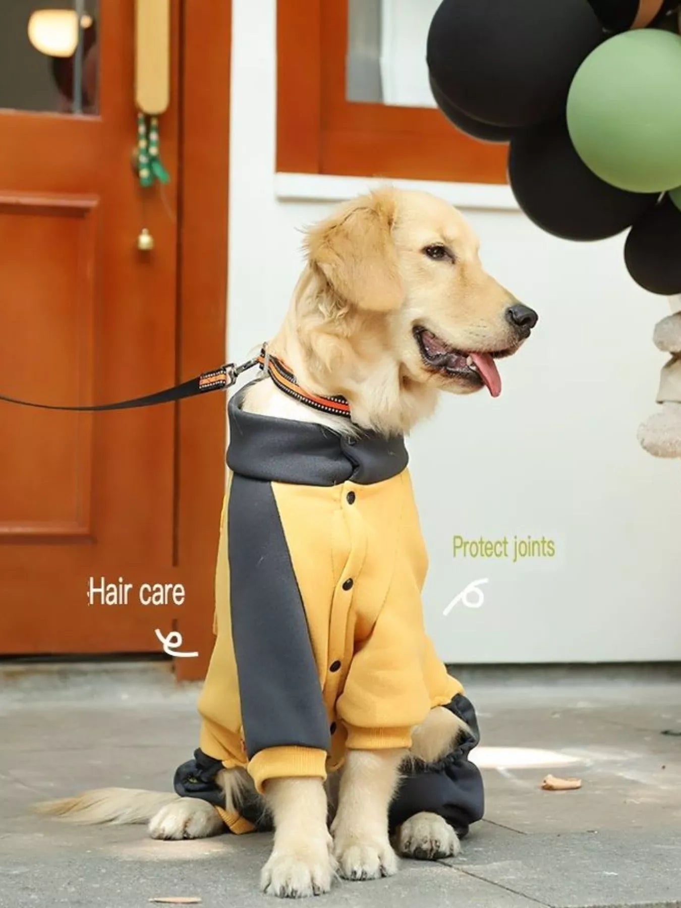 Two-Tone Button-Up Dog Jacket – Warm Outerwear for Large & Extra-Large Breeds – view 2