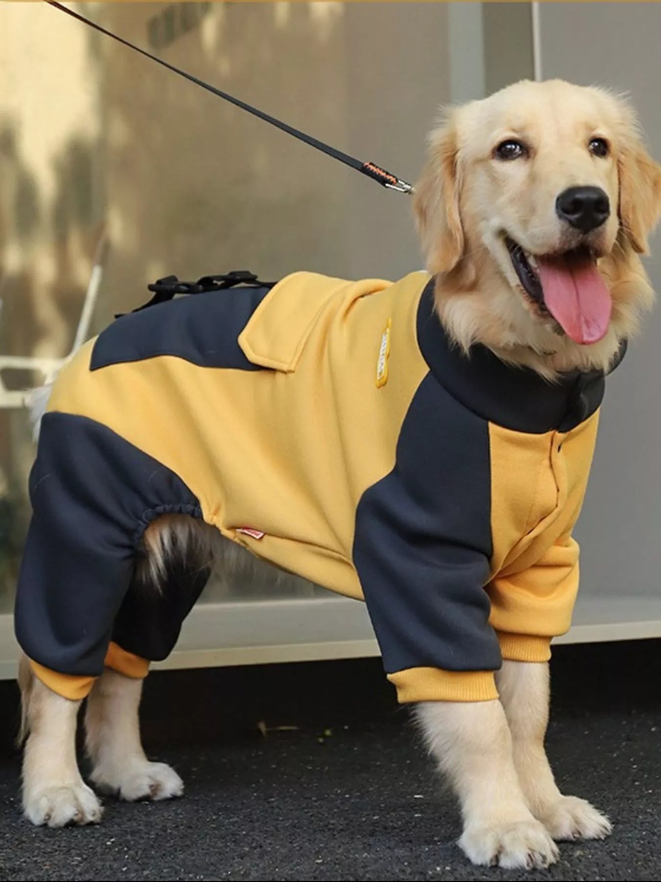 Two-Tone Button-Up Dog Jacket – Warm Outerwear for Large & Extra-Large Breeds – view 4