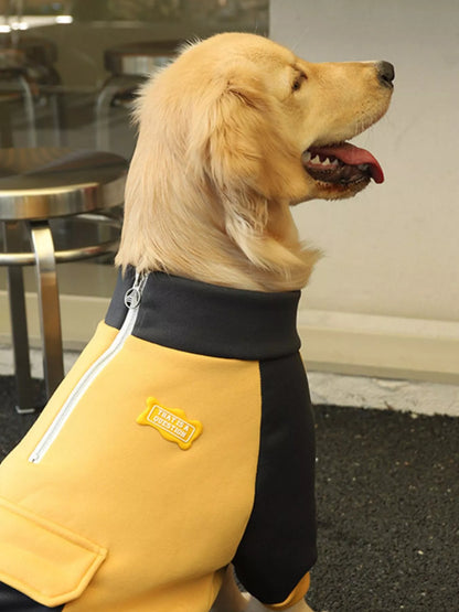 Two-Tone Button-Up Dog Jacket – Warm Outerwear for Large & Extra-Large Breeds – view 6