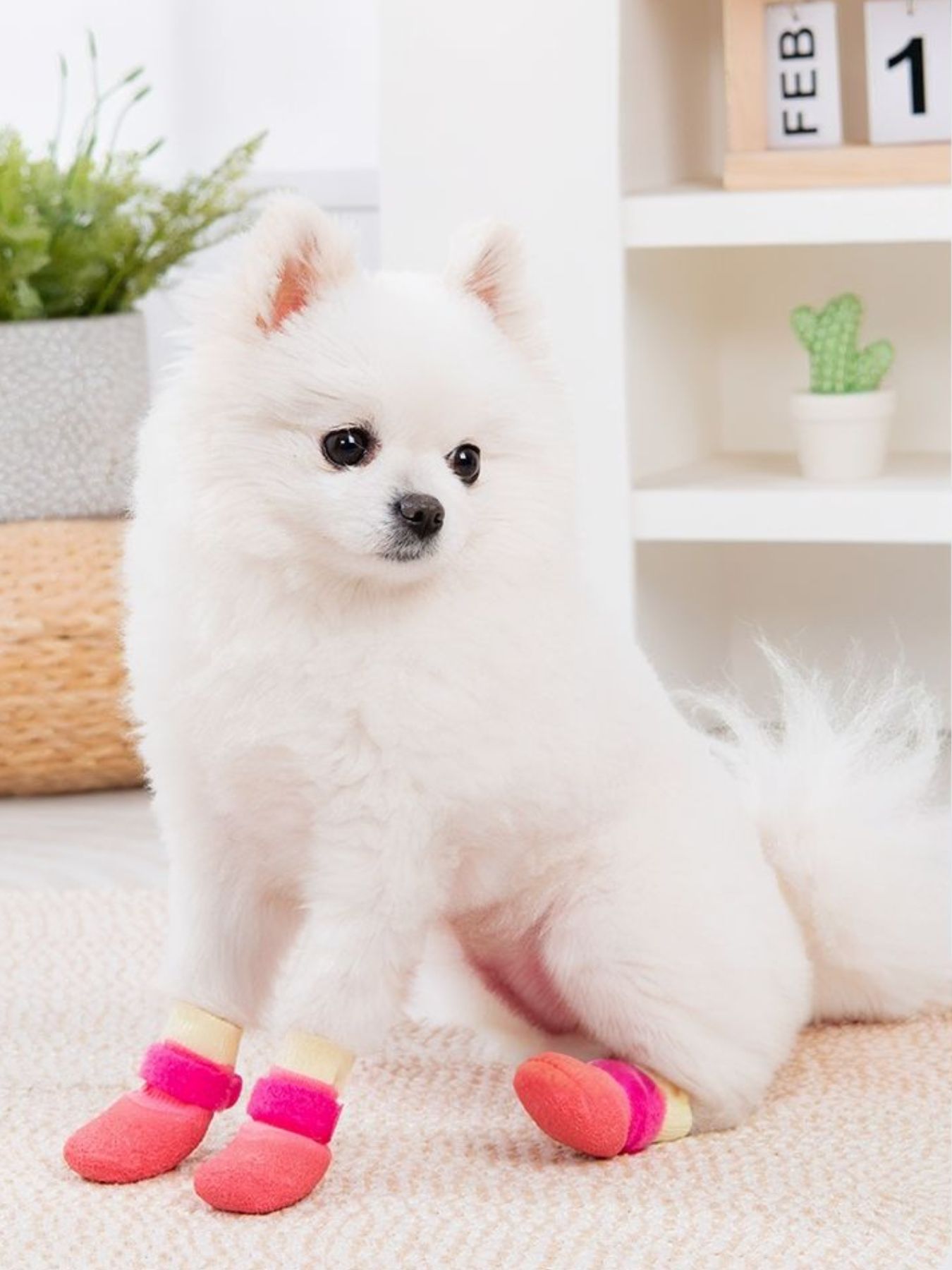 Waterproof Anti-Slip Dog Boots – Scratch-Resistant Paw Protector Shoes, 4-Pack – view 5