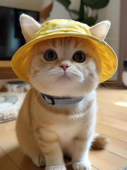 Wide-Brim Pet Bucket Hat – Cute Outdoor Sun Hat for Dogs & Cats – view 4