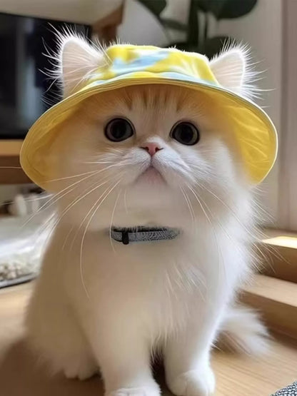 Wide-Brim Pet Bucket Hat – Cute Outdoor Sun Hat for Dogs & Cats – view 5