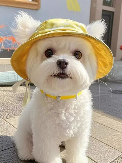 Wide-Brim Pet Bucket Hat – Cute Outdoor Sun Hat for Dogs & Cats – view 6