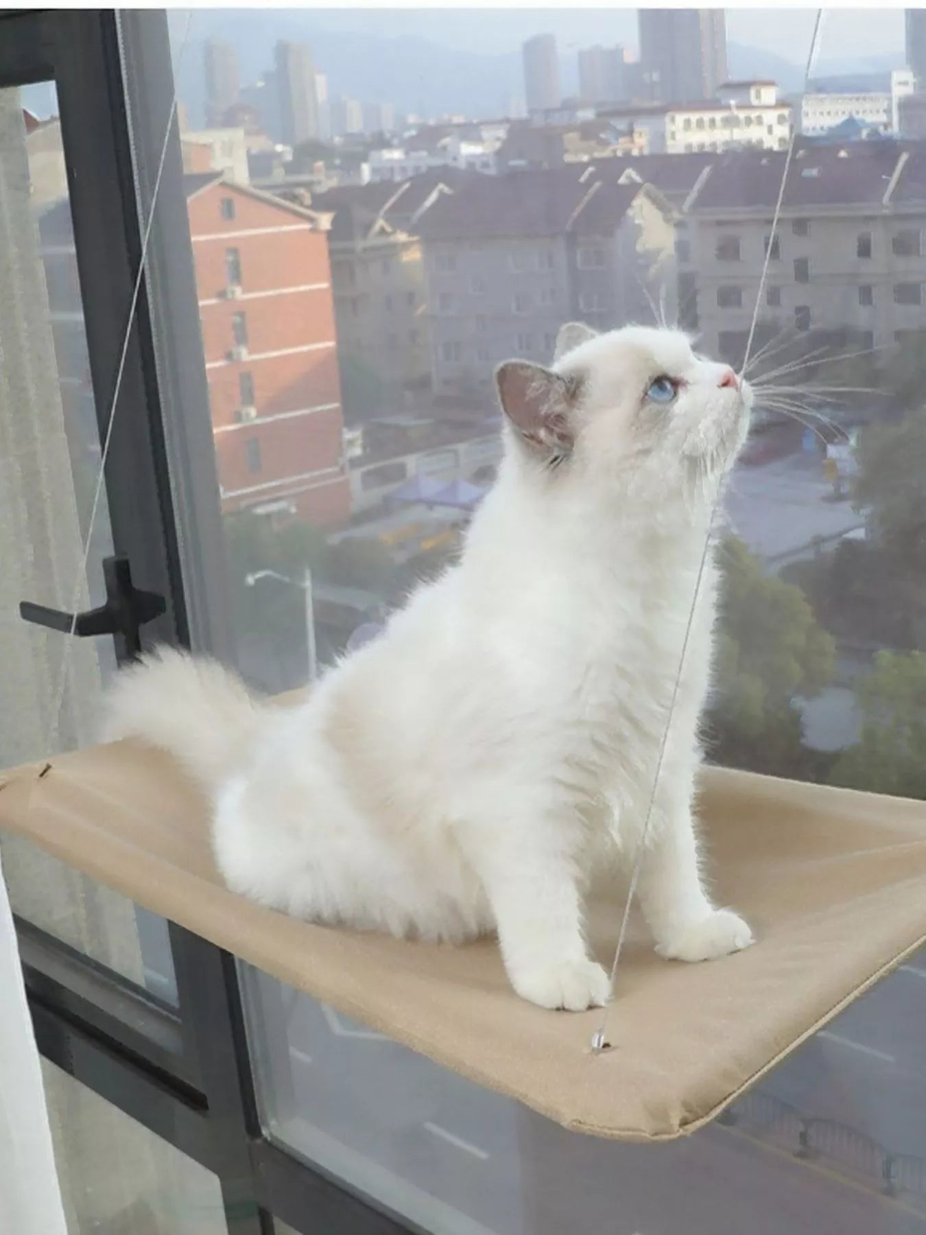 Window Perch Cat Hammock with Suction Cups – Polyester Wall-Mounted Cat Seat – view 2