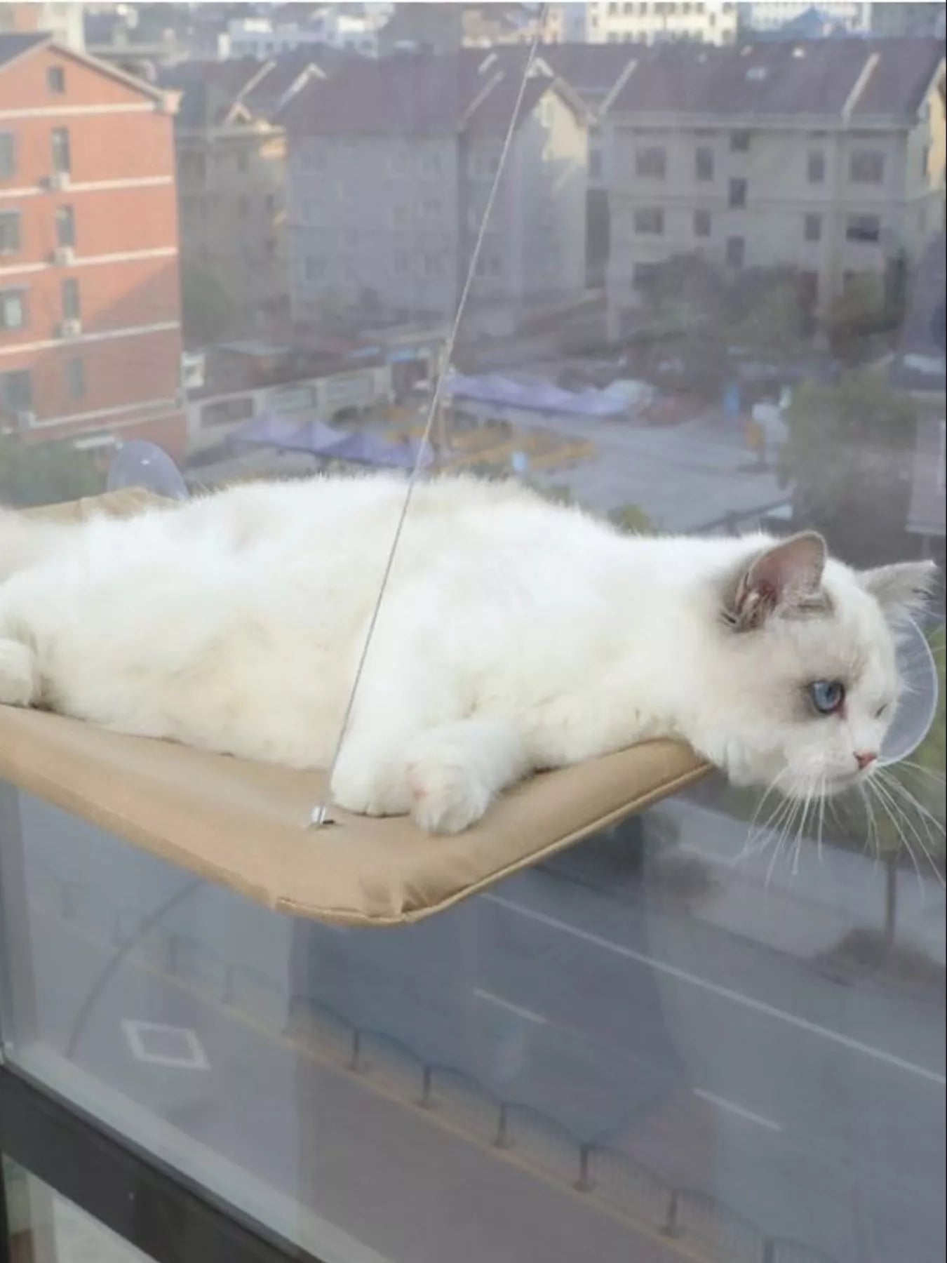 Window Perch Cat Hammock with Suction Cups – Polyester Wall-Mounted Cat Seat – view 3