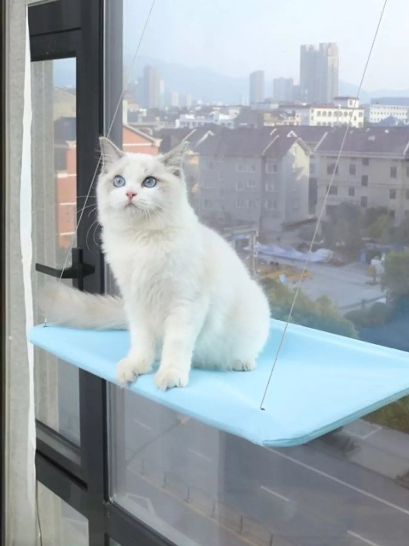 Window Perch Cat Hammock with Suction Cups – Polyester Wall-Mounted Cat Seat – view 5