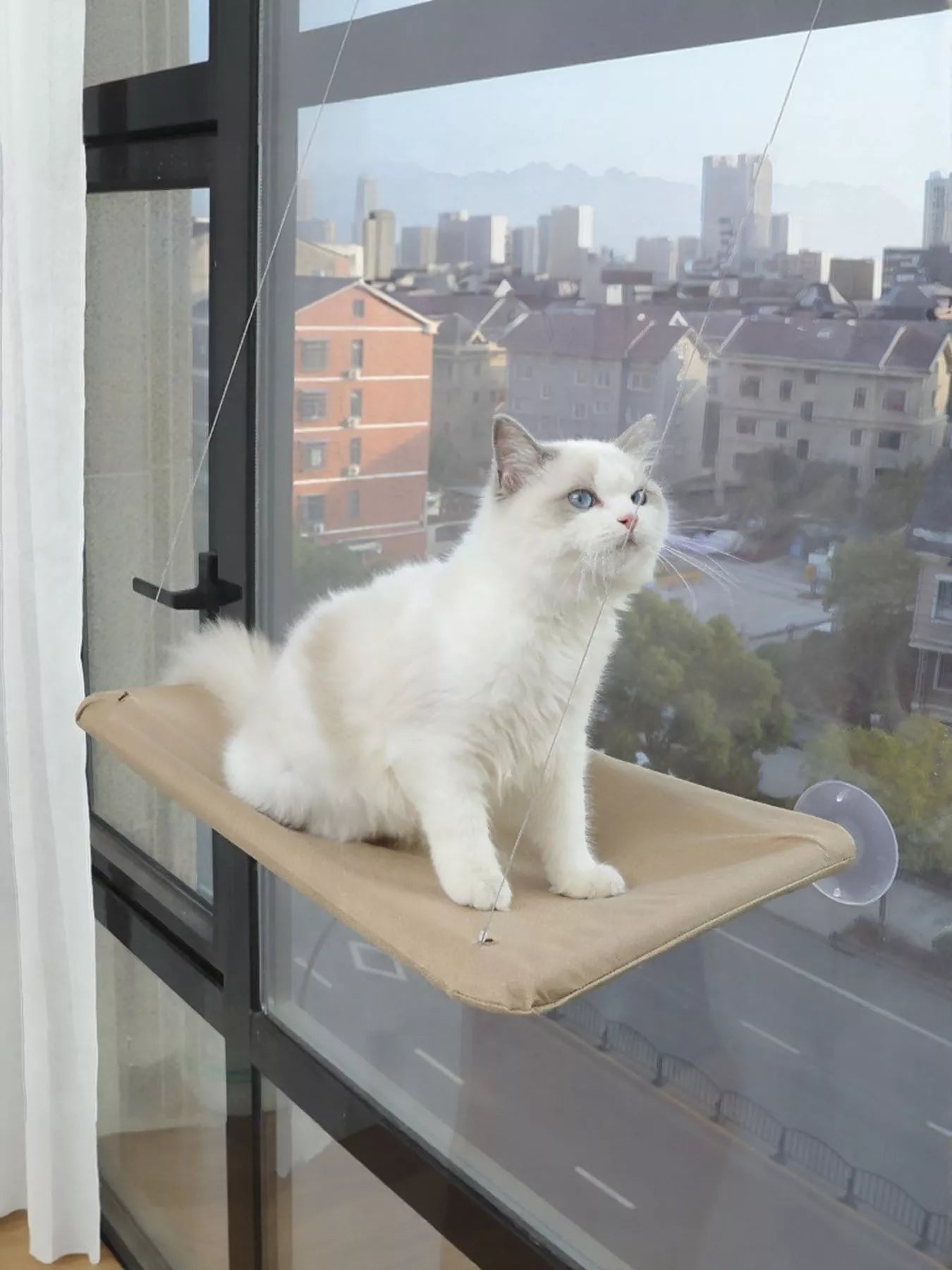 Window perch cat hammock with suction cups, wall-mounted cat seat for cats
